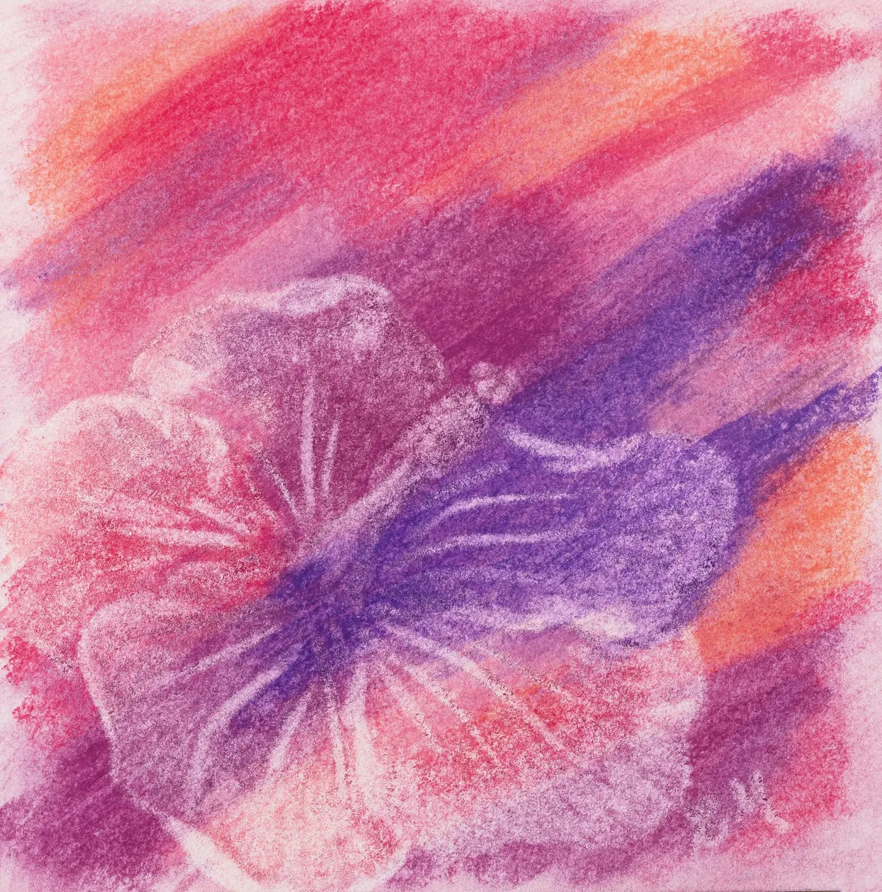 Pink Relief